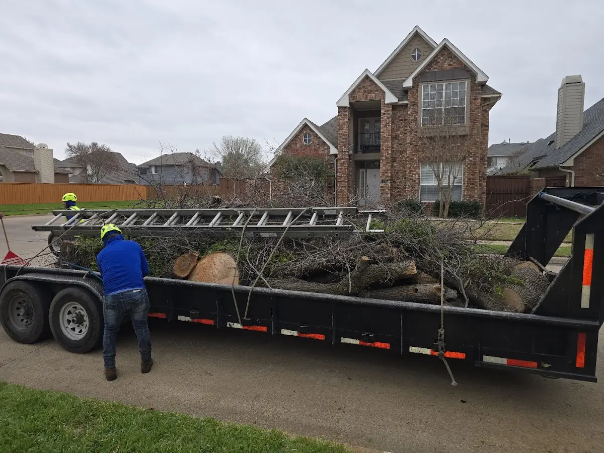 Expert Tree Fertilization with proper safety equipment in Palm Beach Gardens